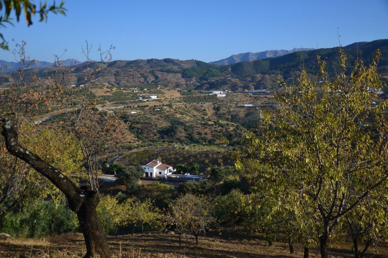 The African House Bed & Breakfast Tolox Bagian luar foto