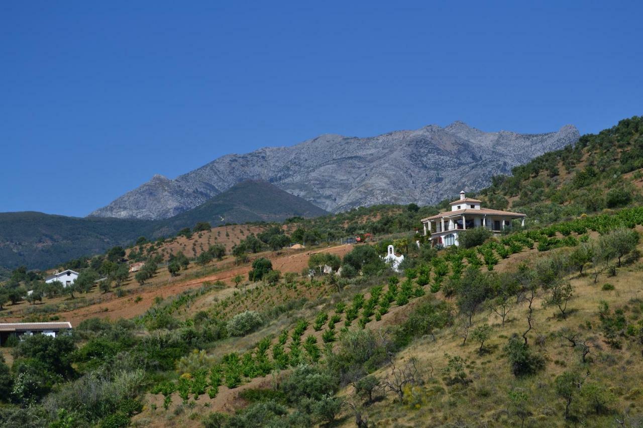 The African House Bed & Breakfast Tolox Bagian luar foto